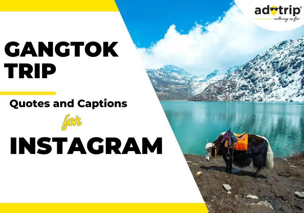 gangtok trip quotes and captions for instagram